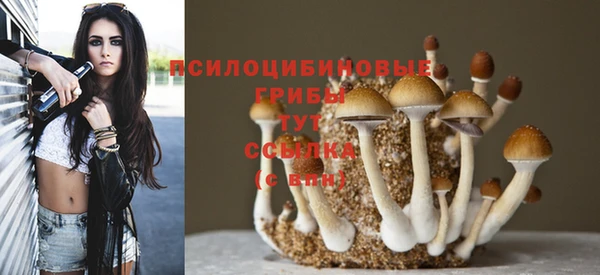 дживик Покров