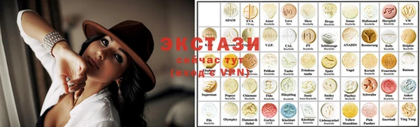 индика Инсар