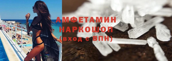 индика Инсар