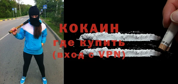 индика Инсар