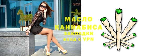 мдпв Инта