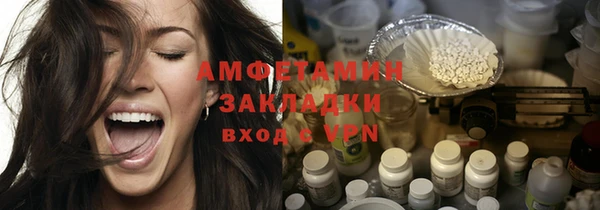 индика Инсар