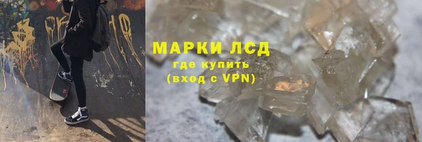 индика Инсар