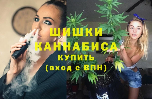 прущие грибы Иннополис