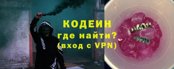 мдпв Инта