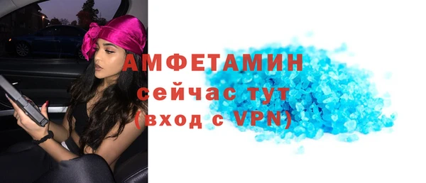 индика Инсар