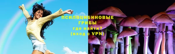 мдпв Инта