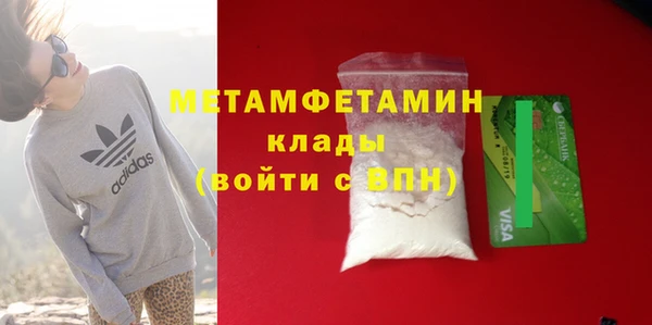 прущие грибы Иннополис