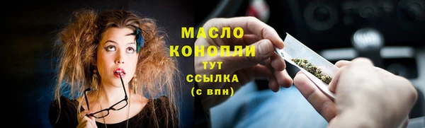 индика Инсар