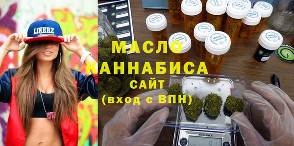 мдпв Инта