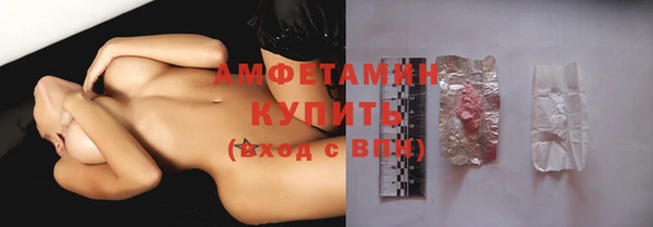 прущие грибы Иннополис