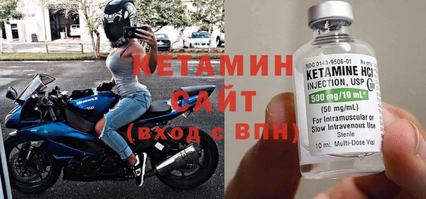 индика Инсар