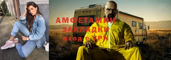 индика Инсар