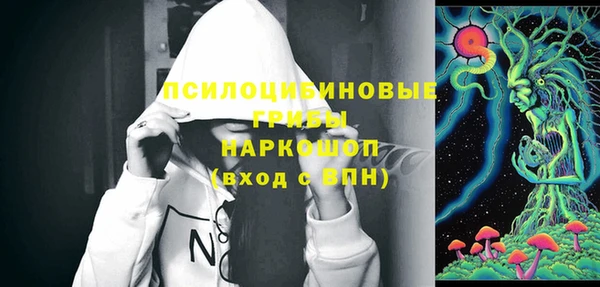 индика Инсар