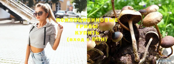 мдпв Инта