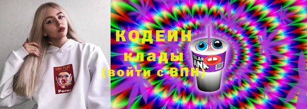 прущие грибы Иннополис