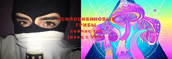 мдпв Инта