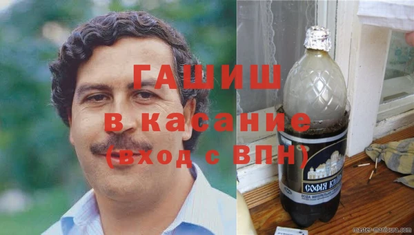 индика Инсар