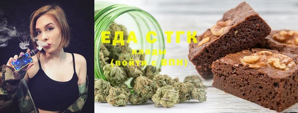 индика Инсар