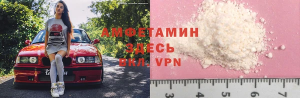индика Инсар
