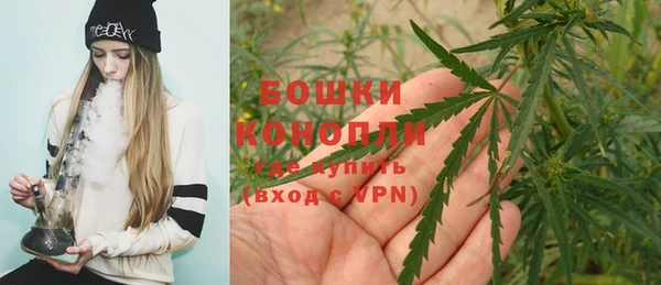 прущие грибы Иннополис