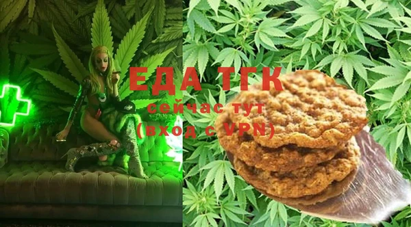 мдпв Инта