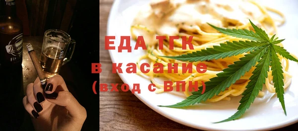 индика Инсар